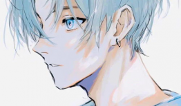 动漫酷图片,捕捉光影中的青春记忆